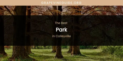The Absolute Best Park in Colleyville