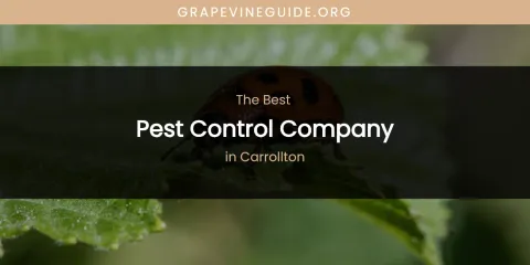 The Absolute Best Pest Control Company in Carrollton