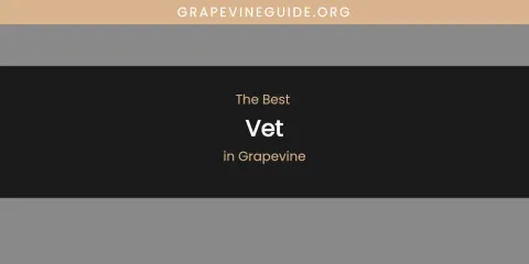 The Absolute Best Vet in Grapevine