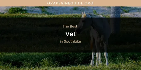 Southlake's Best Vet